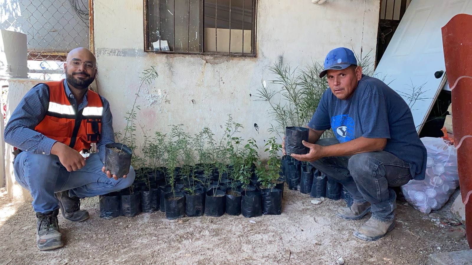 DONACIÓN DE PLANTAS PARA LA REFORESTACIÓN
